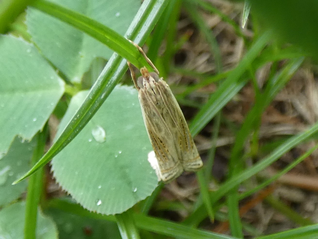 photo_1